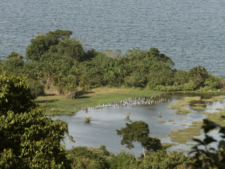 Rubondo Island 2015