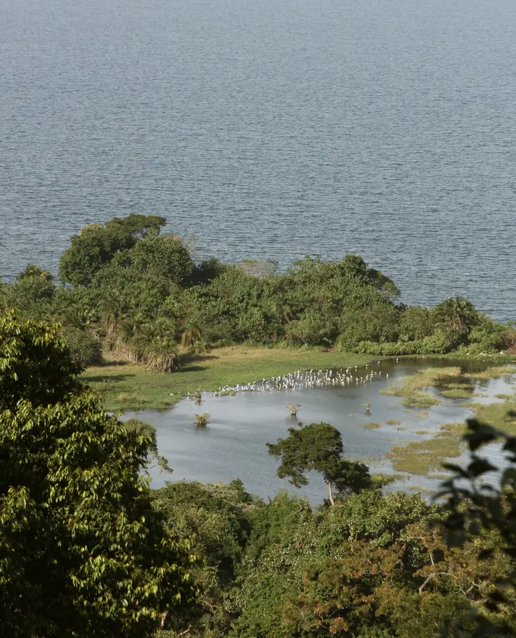 Rubondo Island im März 2015