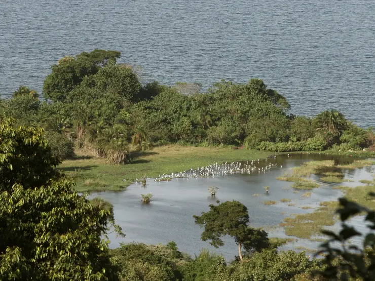 Rubondo Island