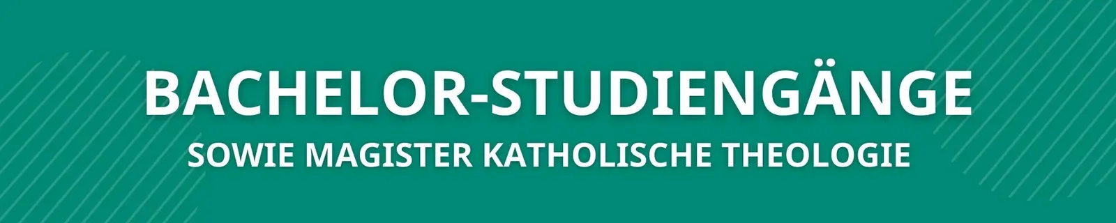 Programm Bachelor-Studium