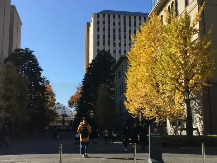 Waseda University