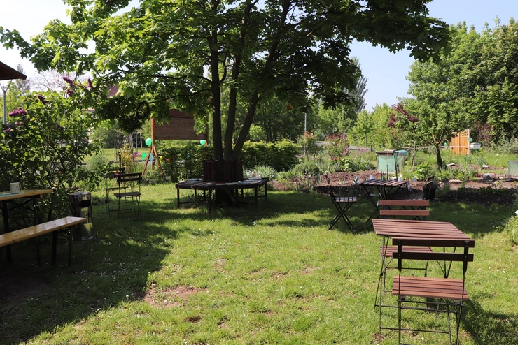 Blick in den Campusschulgarten der Universität Erfurt