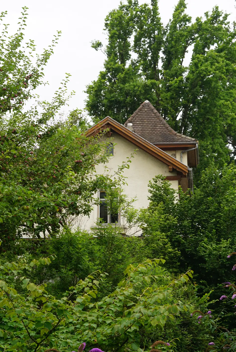 Hausspitze der Villa Abendstern in Wädenswil