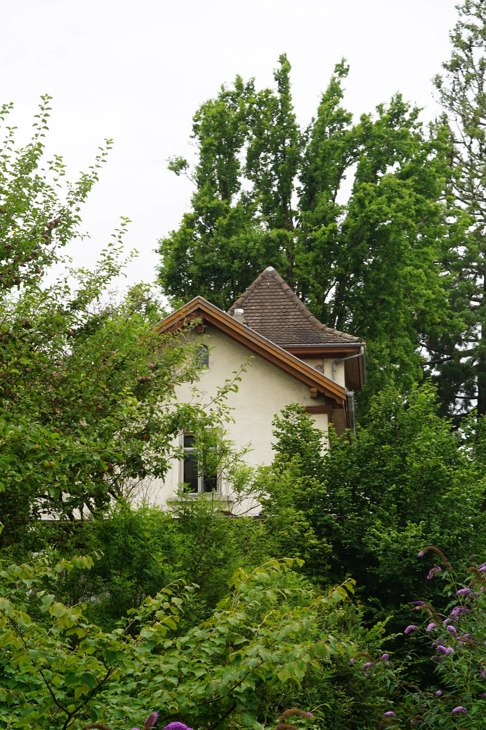 Hausspitze der Villa Abendstern in Wädenswil