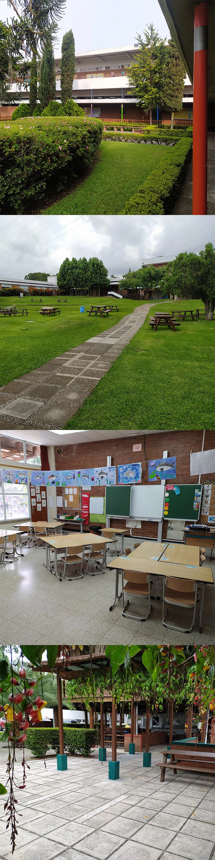 Klassenzimmer, Cafeteria und Aula sind direkt im Grünen