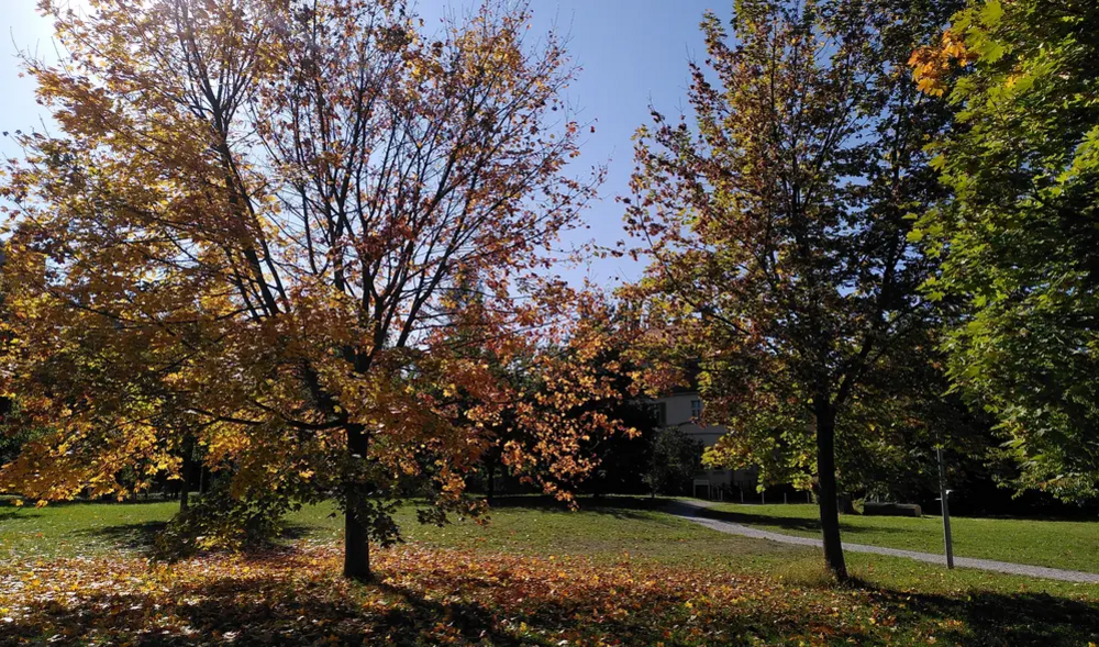 Ein Bild der Villa Martin im Herbst