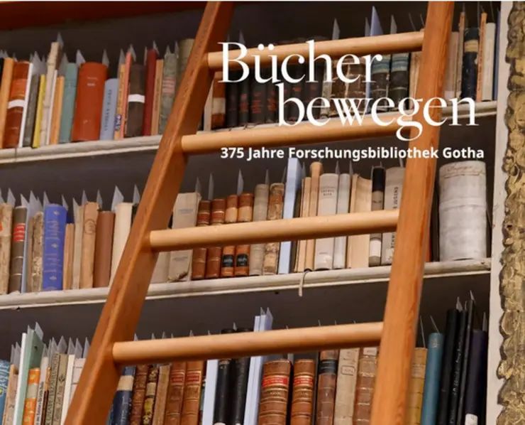 Bücherwand mit Bibliotheksleiter