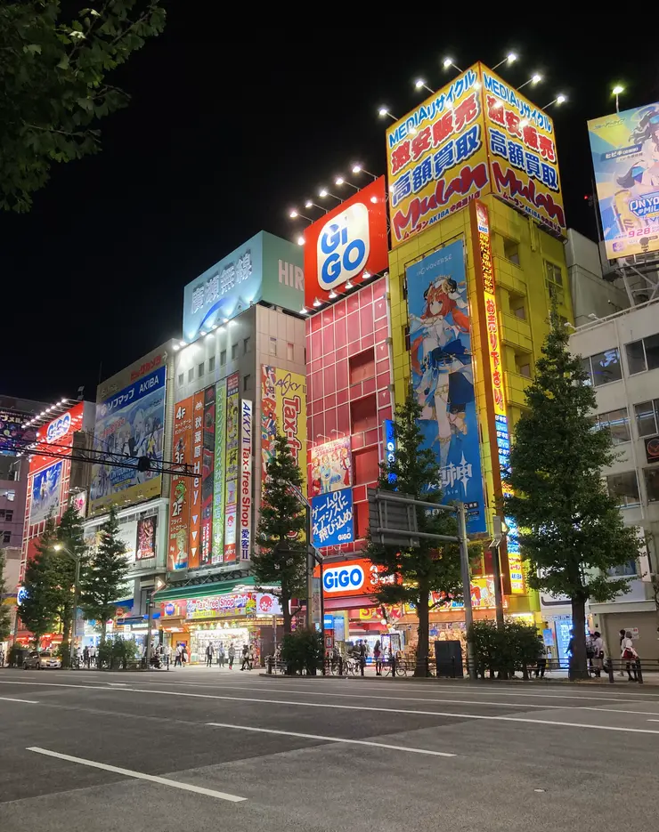 Bunte Gebäudefassaden im Elektronikviertel Akihabara