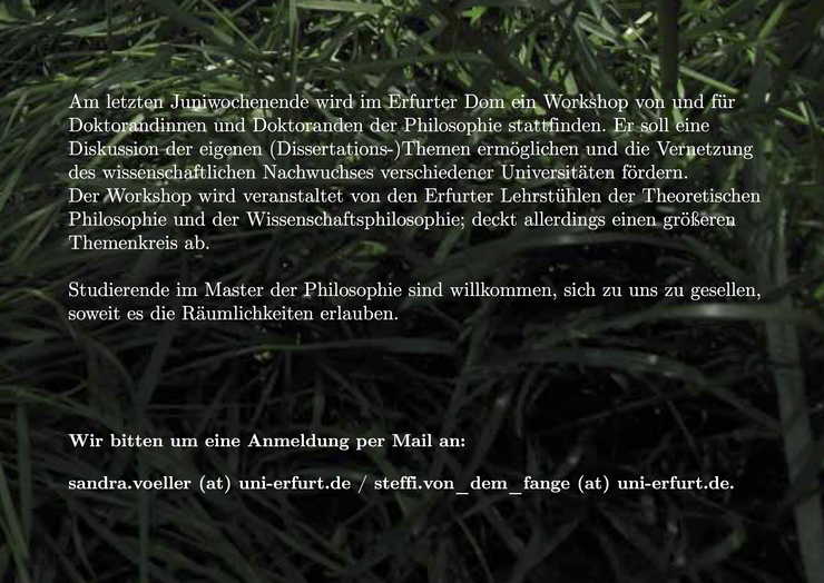 Zu sehen ist die Rückseite eines Flyers mit einem Text und einer E-Mail Adresse