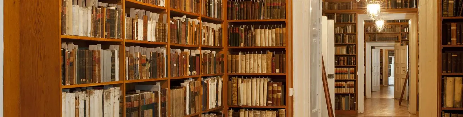 Büchergang in der Forschungsbibliothek Gotha